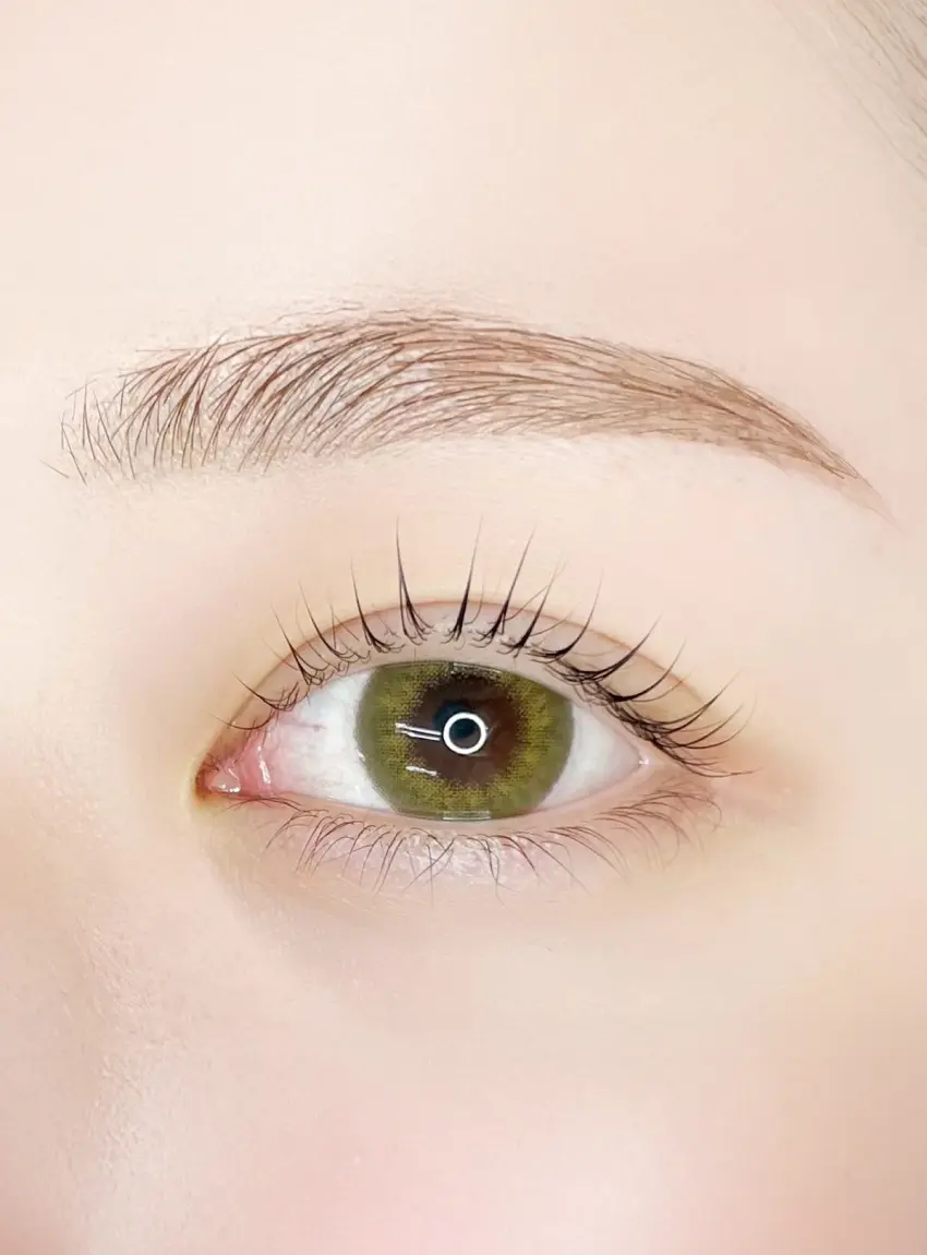 Lys blanc イメージ