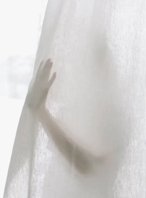 Lys blanc イメージ