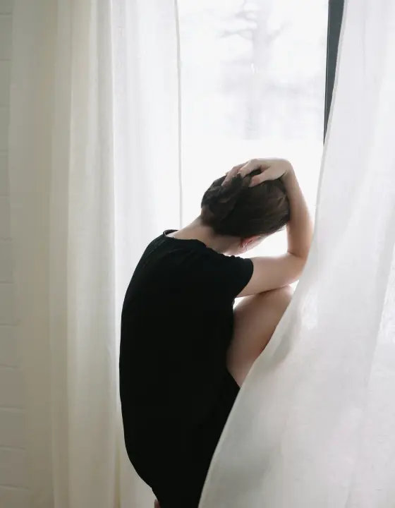 Lys blanc イメージ